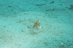 20010620_Mangrove_Bay_0003